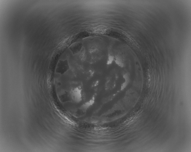 X0000057100641200509121009