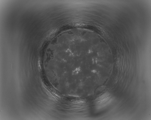 X0000057100643200509121009