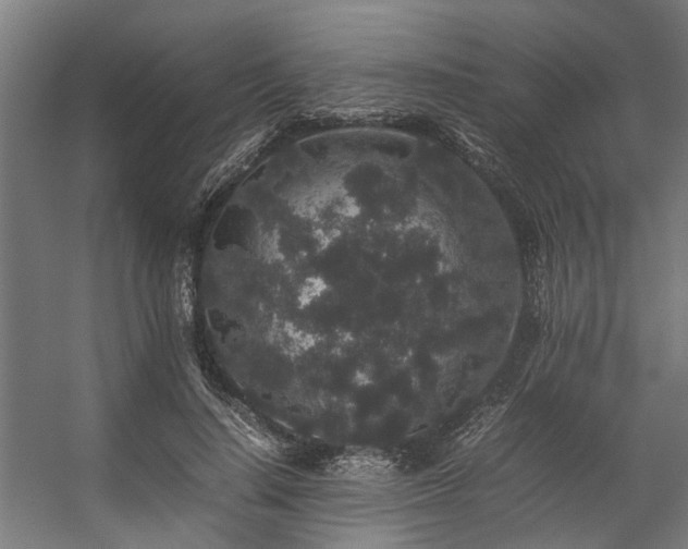 X0000057100644200509121009