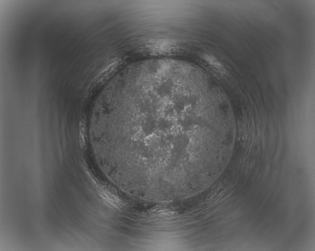 X0000057100648200509121009