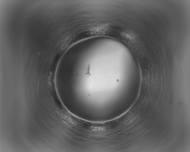 X0000057100649200509121009