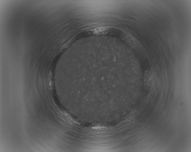 X0000057100650200509121009