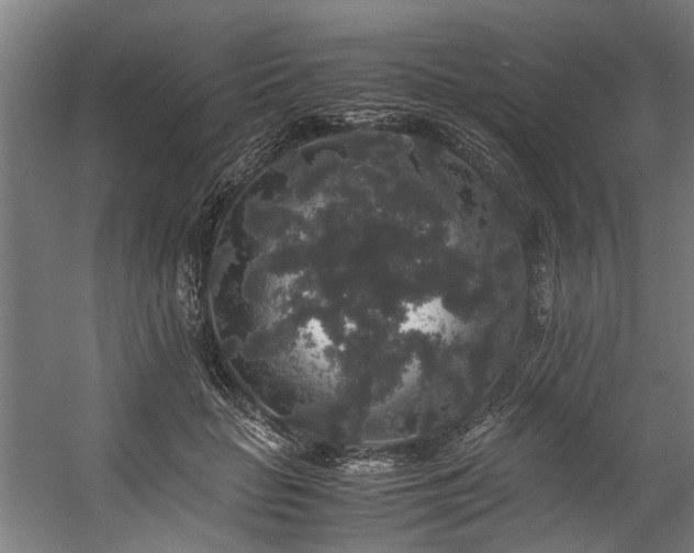 X0000057100653200509121009