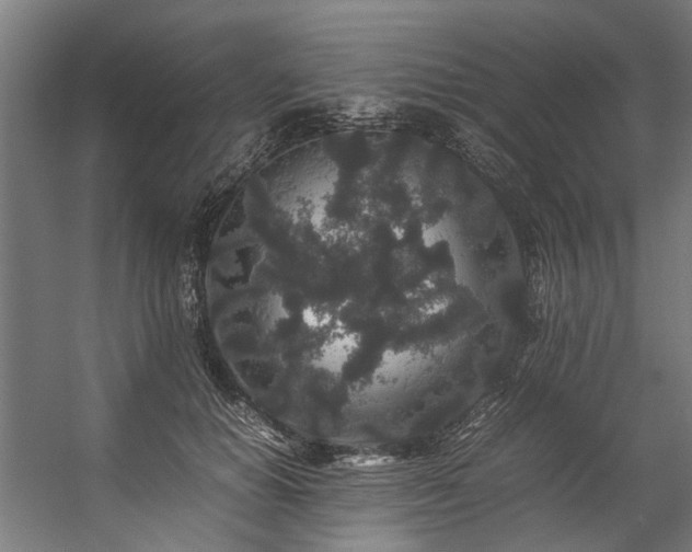 X0000057100654200509121009