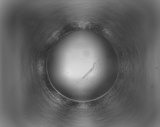 X0000057100656200509121009