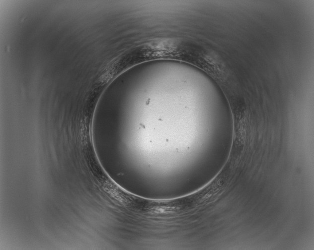 X0000057100657200509121009