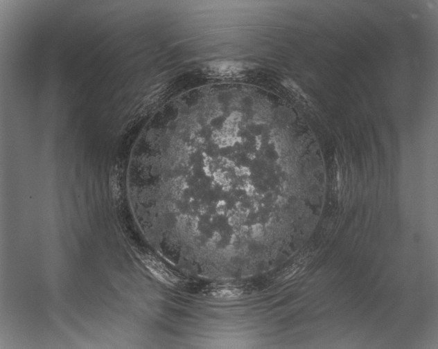 X0000057100658200509121009