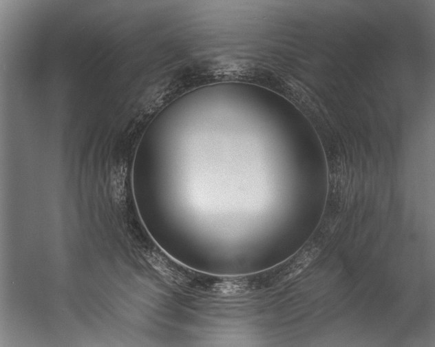 X0000057100660200509121009