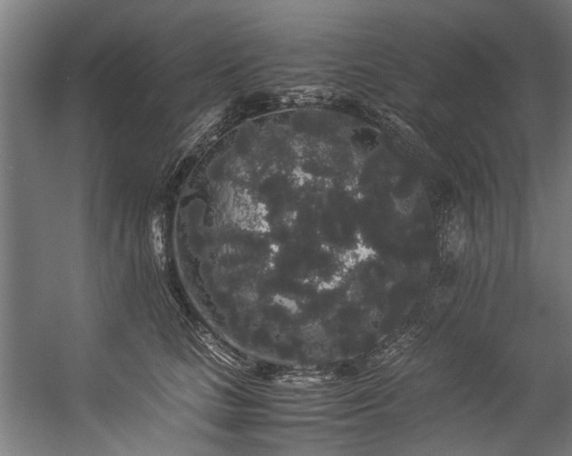 X0000057100661200509121009