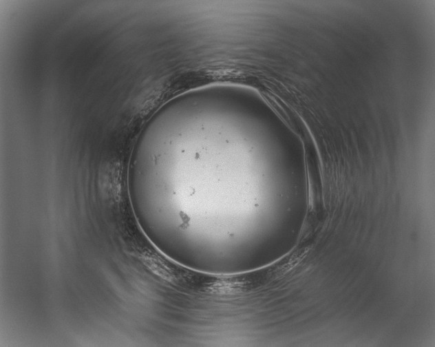 X0000057100664200509121009