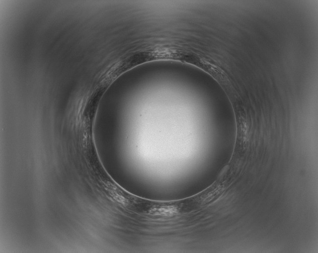 X0000057100665200509121009