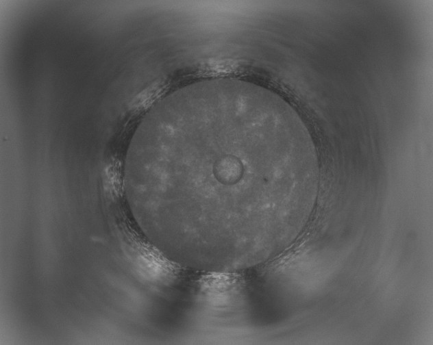 X0000057100672200509121009