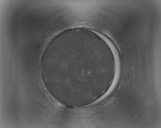 X0000057100673200509121009