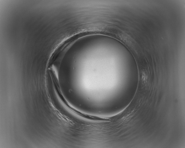 X0000057100676200509121009