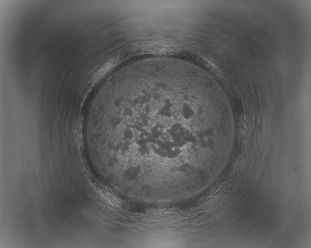 X0000057100679200509121009