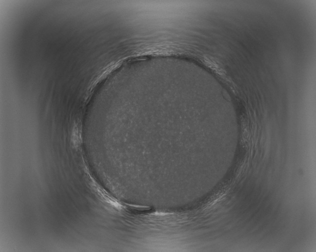 X0000057100681200509121009