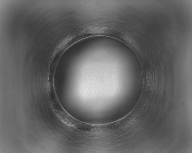 X0000057100682200509121008