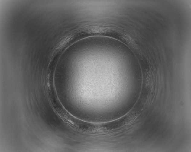 X0000057100683200509121008