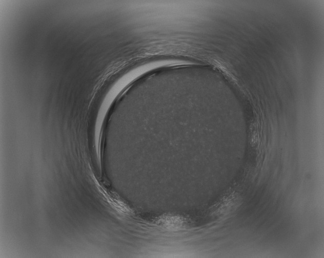 X0000057100685200509121008