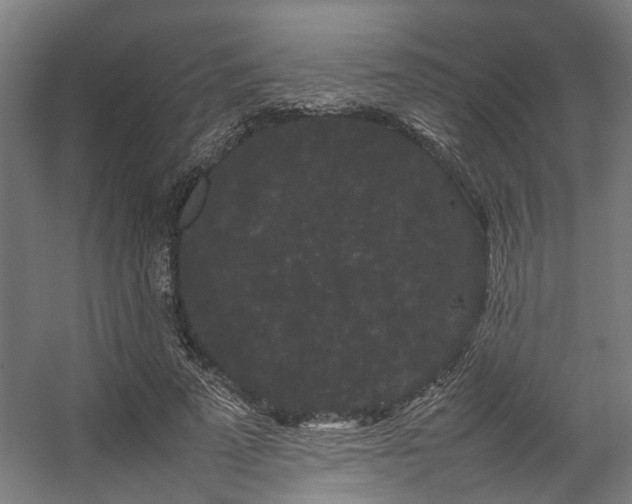 X0000057100689200509121008