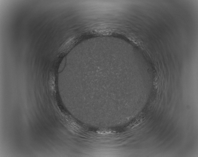 X0000057100693200509121008