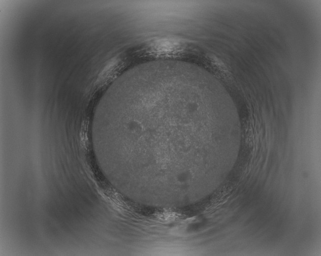 X0000057100695200509121008