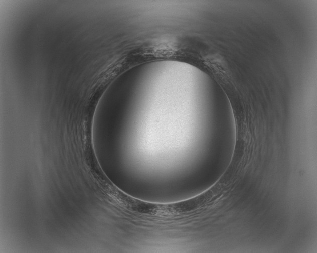 X0000057100697200509121008