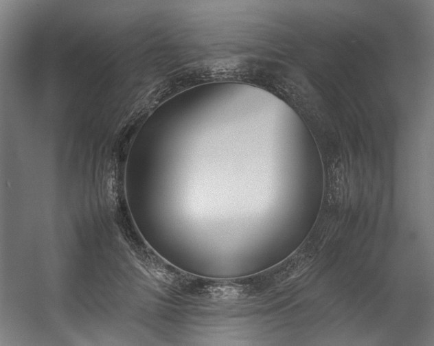 X0000057100698200509121008