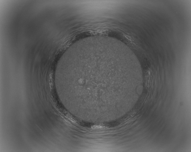 X0000057100699200509121008