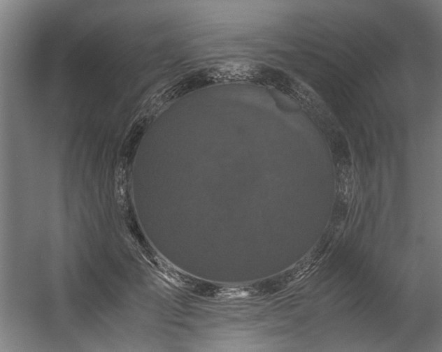 X0000057100701200509121008