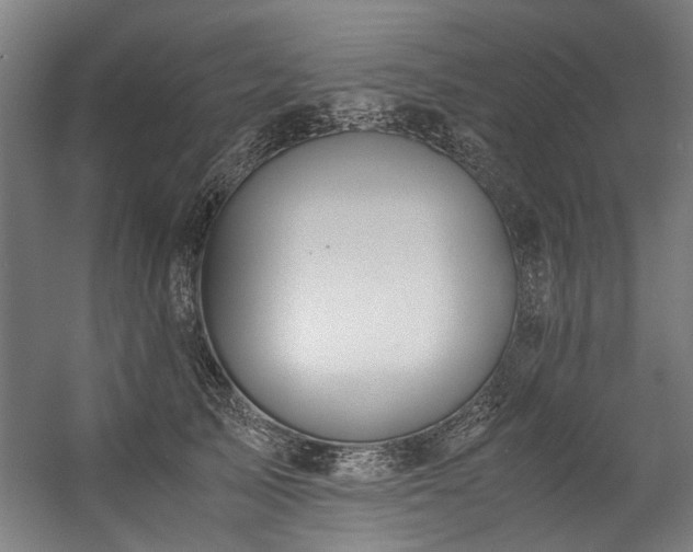 X0000057100705200509121008