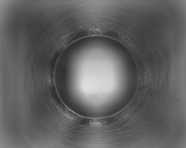 X0000057100706200509121008