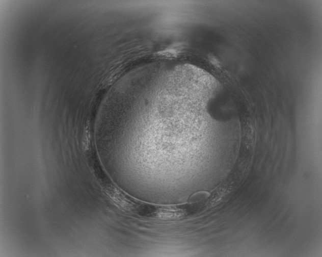 X0000057100707200509121008