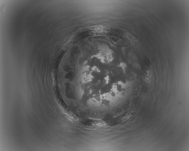 X0000057100715200509121008