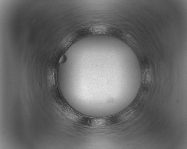 X0000057100717200509121008