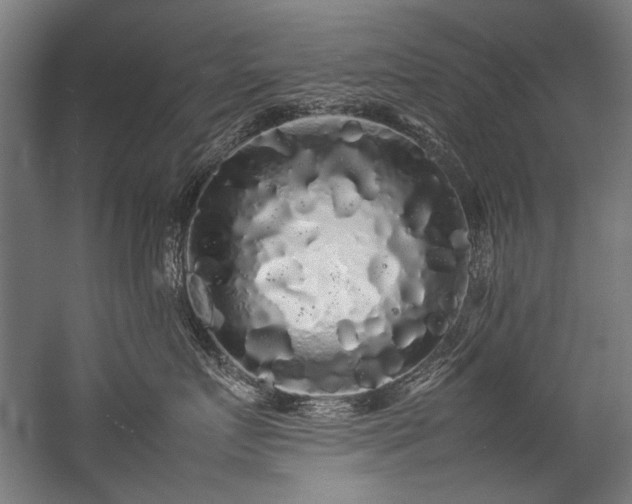 X0000057100719200509121008