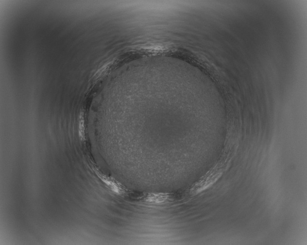 X0000057100720200509121008