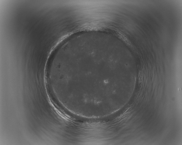 X0000057100722200509121007