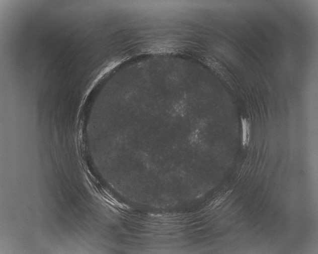 X0000057100723200509121007