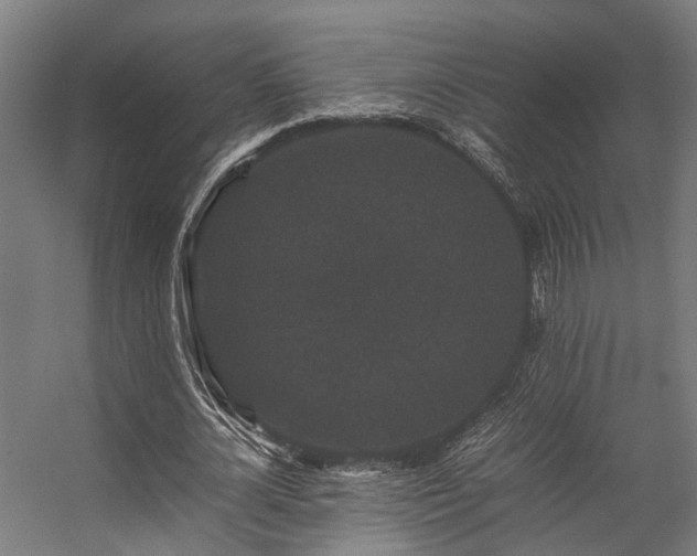 X0000057100724200509121007