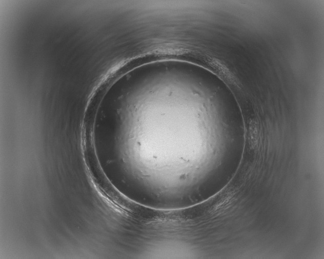 X0000057100726200509121007