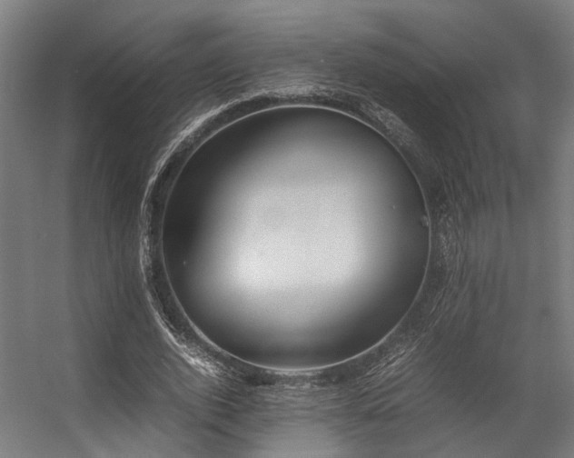 X0000057100728200509121007