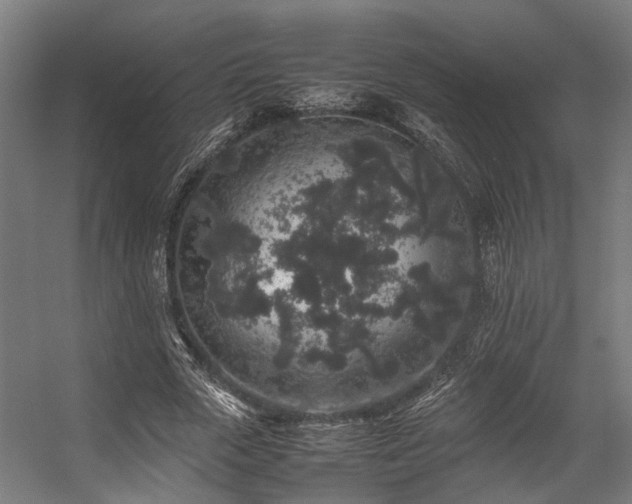 X0000057100729200509121007