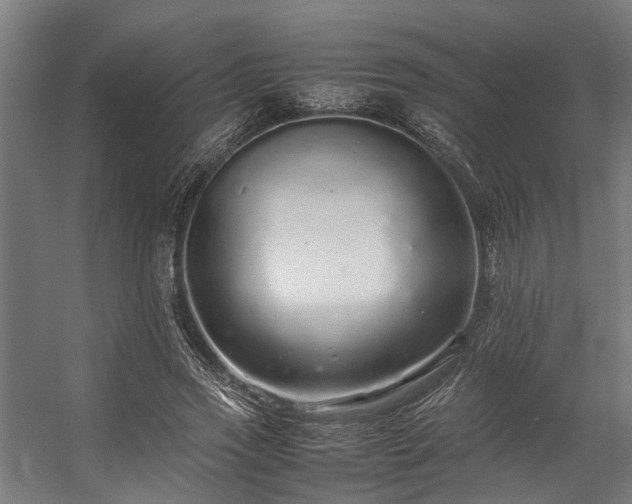 X0000057100733200509121007