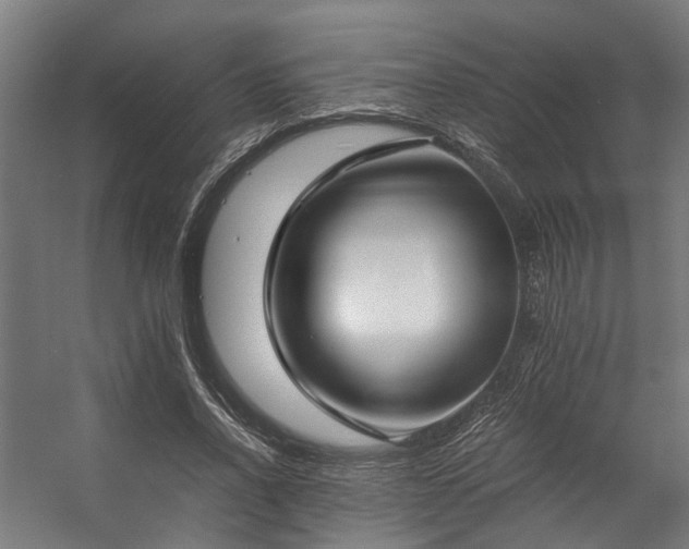 X0000057100734200509121007