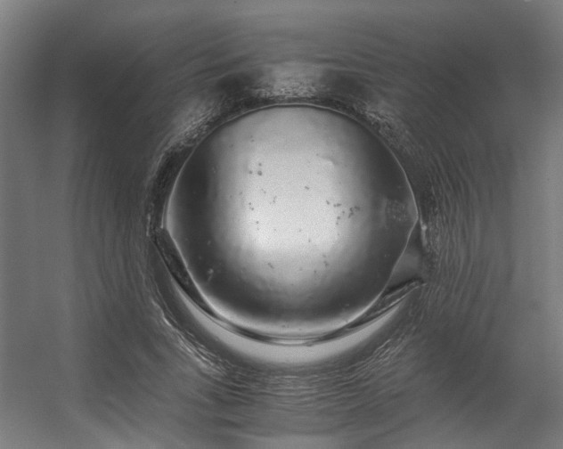 X0000057100735200509121007