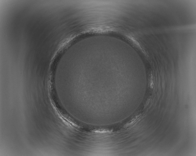 X0000057100736200509121007