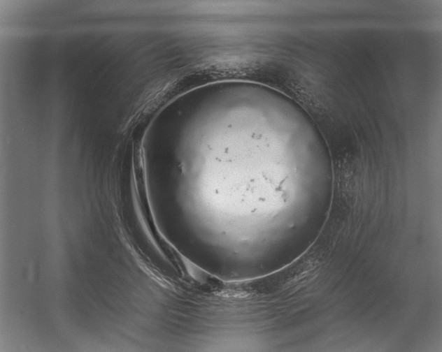 X0000057100742200509121007