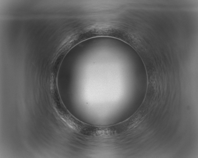 X0000057100744200509121007