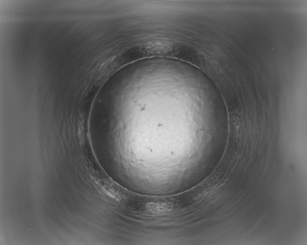 X0000057100745200509121007